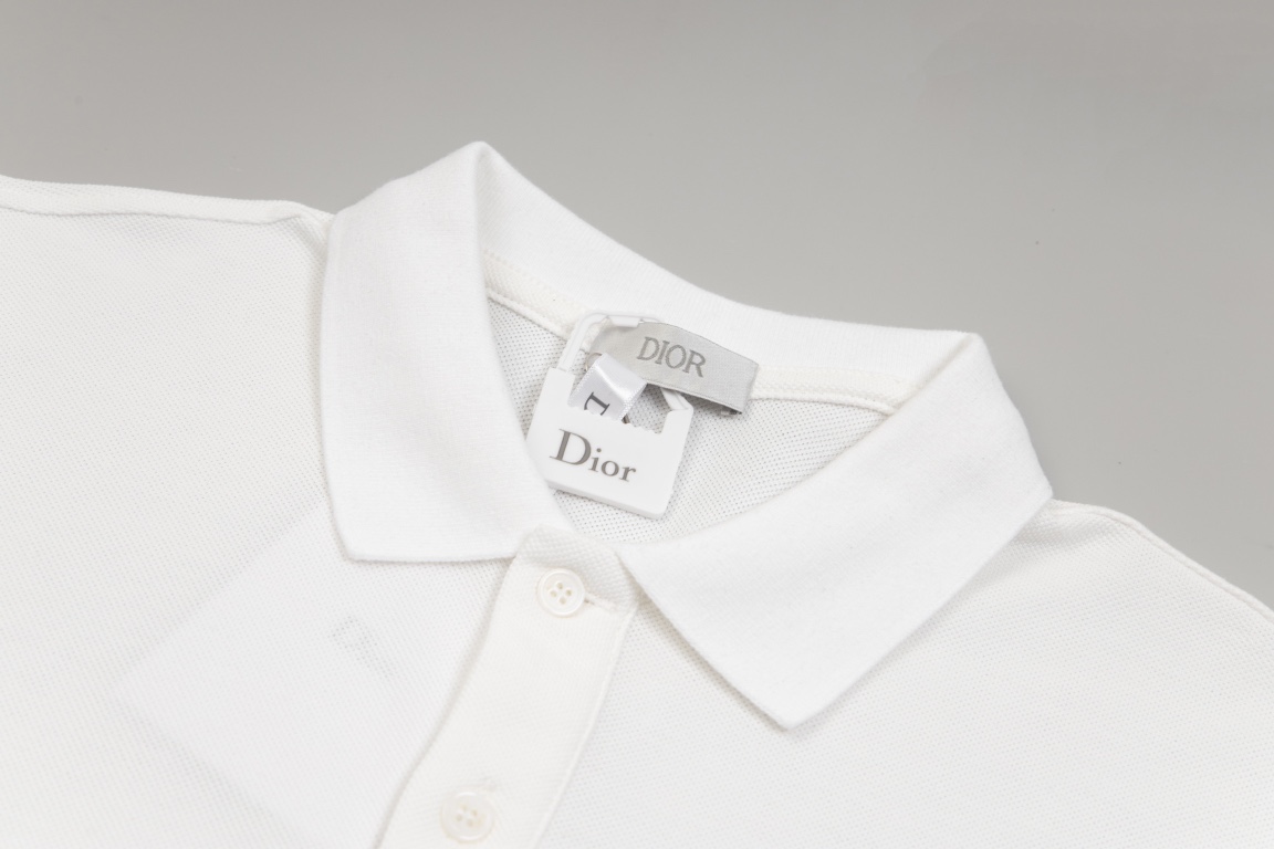 DIOR經典純棉高仿原單衣服 Polo衫短袖
