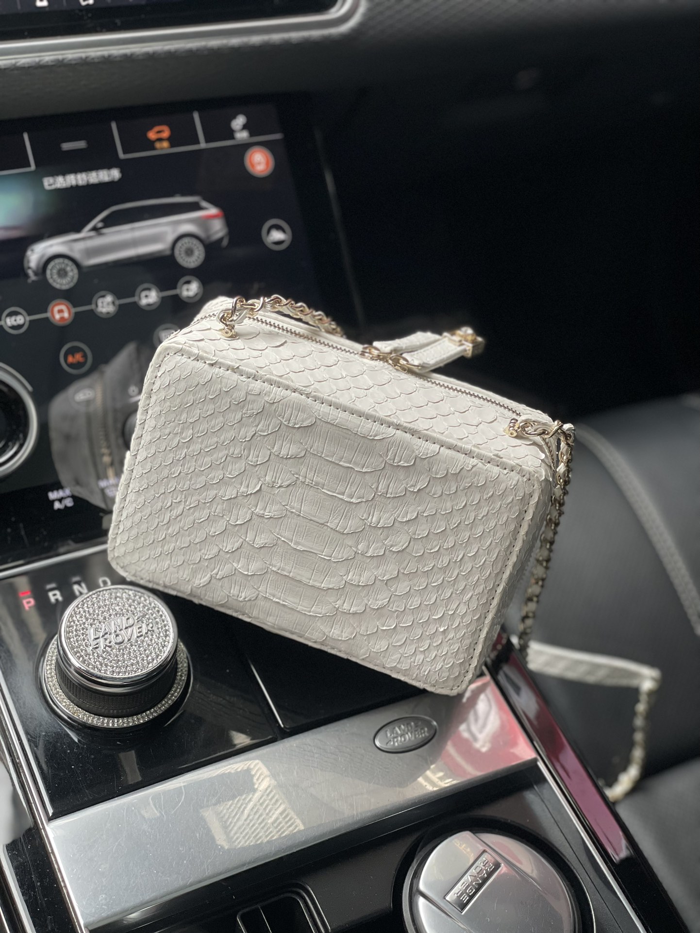 CHANEL顶级高仿专柜同步相机包